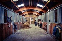 Stable