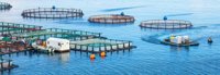 Aquaculture