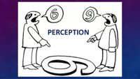 perception