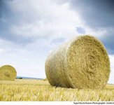 Baling