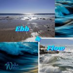 Ebb