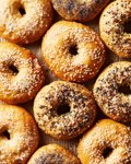 Bagel