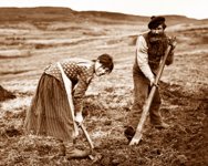 Crofter