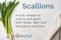 Scallion