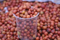 Jujube