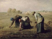 Glean