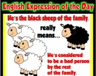 Black sheep