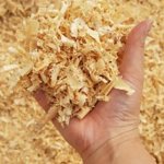 Wood shavings