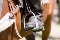 Stirrup