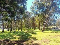Grove