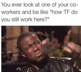 TF