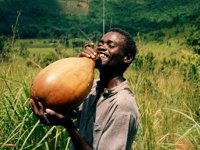Calabash