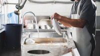 Dishwashing gig