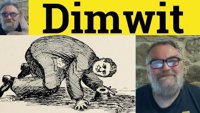 dimwit