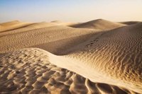 Dune
