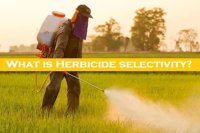 herbicide