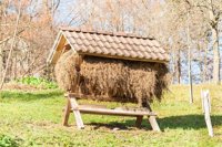 manger