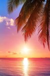 sunup