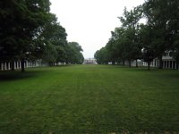 lawn
