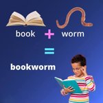 bookworm