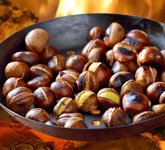 chestnut
