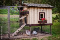 henhouse
