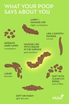 bowel movement