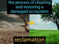 reclamation