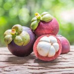 mangosteen