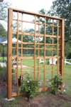 trellis