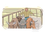corral