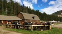 ranch