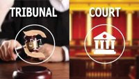 tribunal