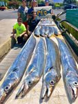 ribbon fish