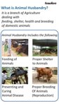 husbandry