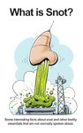 snot