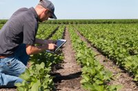 agronomist